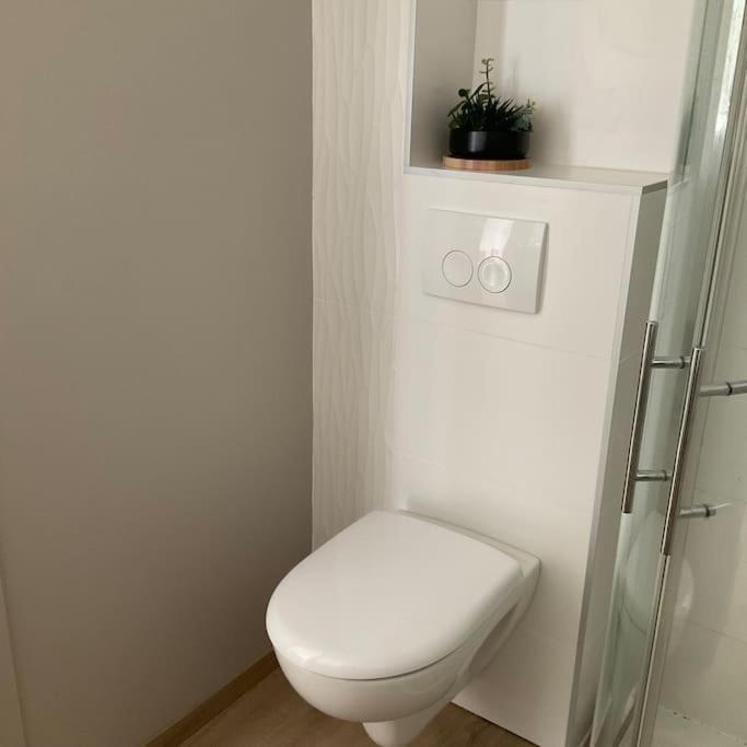 Elegant Confort Vue Mont Blanc *